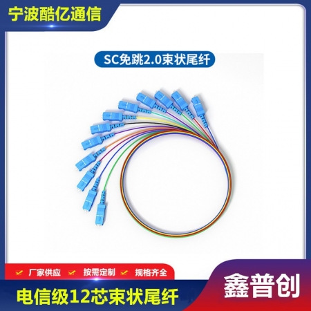 12芯束状尾纤单模多模FC/LC/SC/ST